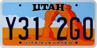 UT license plate Y312GO