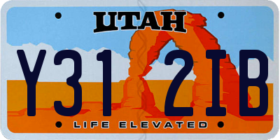 UT license plate Y312IB