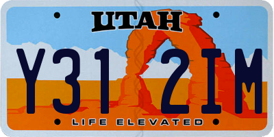 UT license plate Y312IM