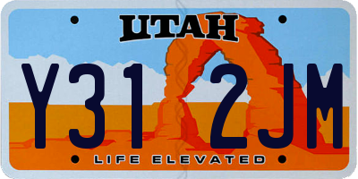 UT license plate Y312JM