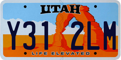 UT license plate Y312LM