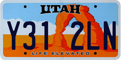 UT license plate Y312LN