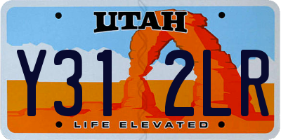 UT license plate Y312LR