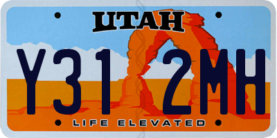 UT license plate Y312MH
