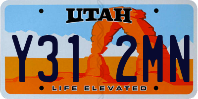UT license plate Y312MN