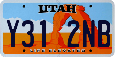 UT license plate Y312NB