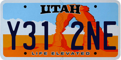 UT license plate Y312NE