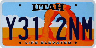 UT license plate Y312NM