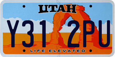 UT license plate Y312PU