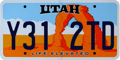 UT license plate Y312TD