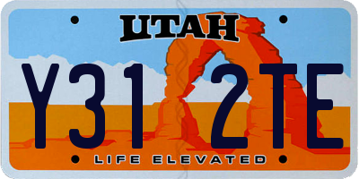 UT license plate Y312TE