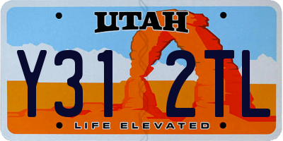 UT license plate Y312TL