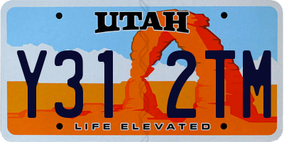 UT license plate Y312TM