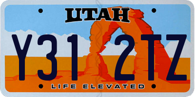 UT license plate Y312TZ