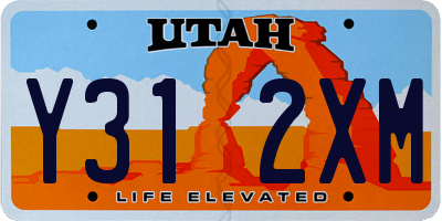 UT license plate Y312XM