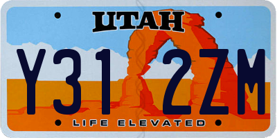UT license plate Y312ZM