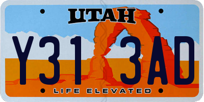 UT license plate Y313AD