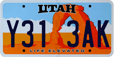 UT license plate Y313AK
