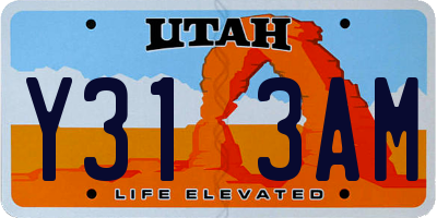UT license plate Y313AM