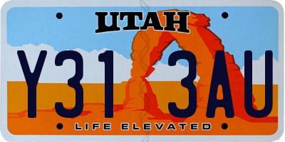 UT license plate Y313AU