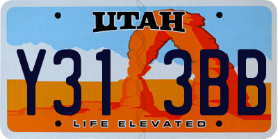 UT license plate Y313BB