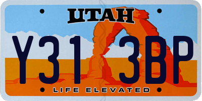UT license plate Y313BP