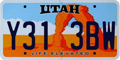 UT license plate Y313BW