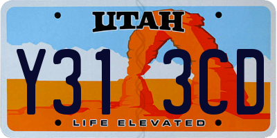 UT license plate Y313CD