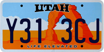 UT license plate Y313CJ
