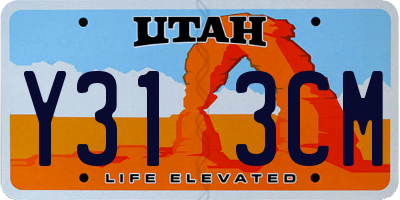UT license plate Y313CM