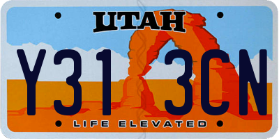 UT license plate Y313CN