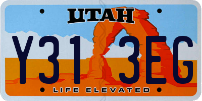 UT license plate Y313EG