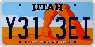 UT license plate Y313EI