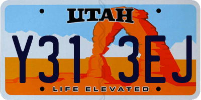 UT license plate Y313EJ