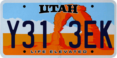 UT license plate Y313EK