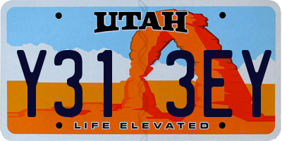 UT license plate Y313EY