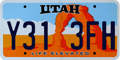 UT license plate Y313FH