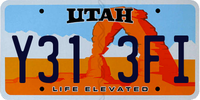 UT license plate Y313FI