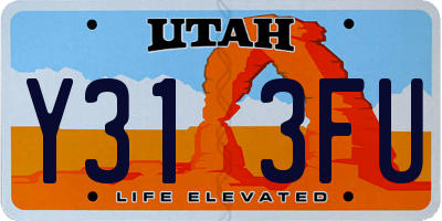 UT license plate Y313FU