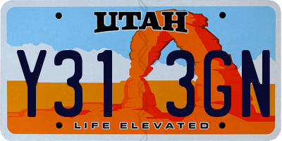 UT license plate Y313GN