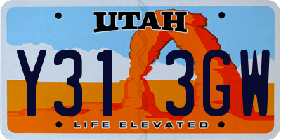 UT license plate Y313GW