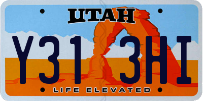 UT license plate Y313HI