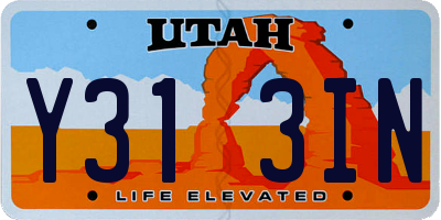 UT license plate Y313IN