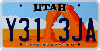 UT license plate Y313JA