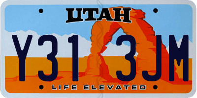 UT license plate Y313JM