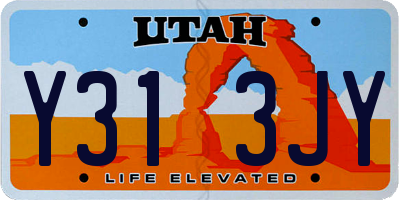 UT license plate Y313JY