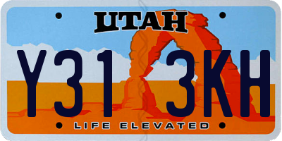 UT license plate Y313KH