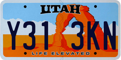 UT license plate Y313KN