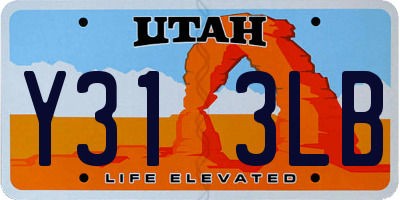 UT license plate Y313LB