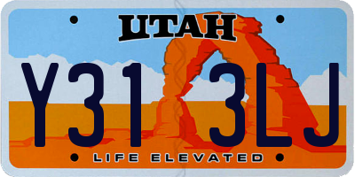 UT license plate Y313LJ